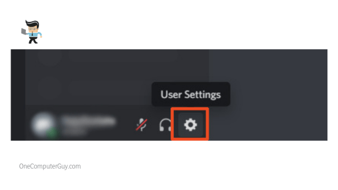 Discord user settings