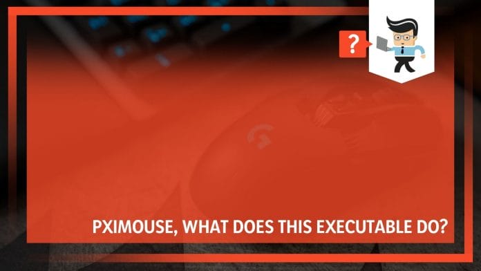 PXImouse, What Does this Executable Do