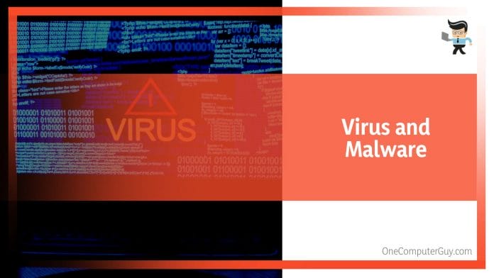 Virus and Malware Scan