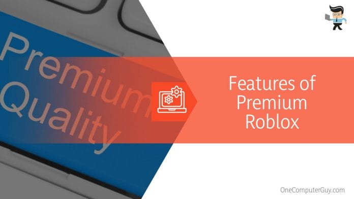 Features of Premium Roblox
