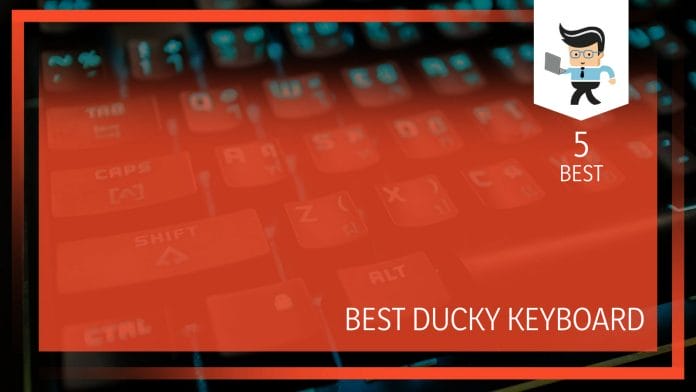 Best Ducky Keyboards for Gamers