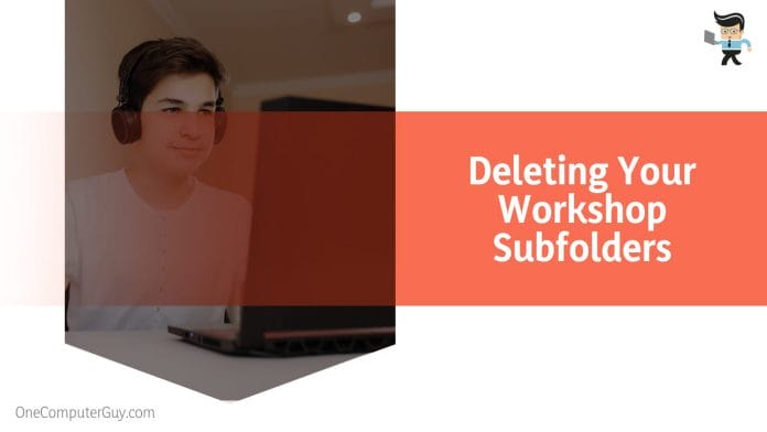 Deleting Your Workshop Subfolders