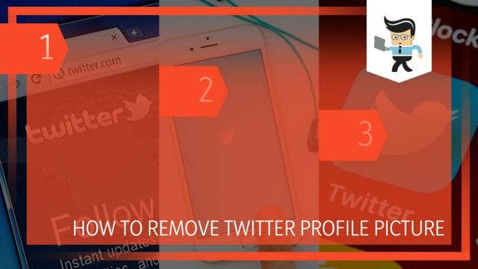 Remove Twitter Profile Picture