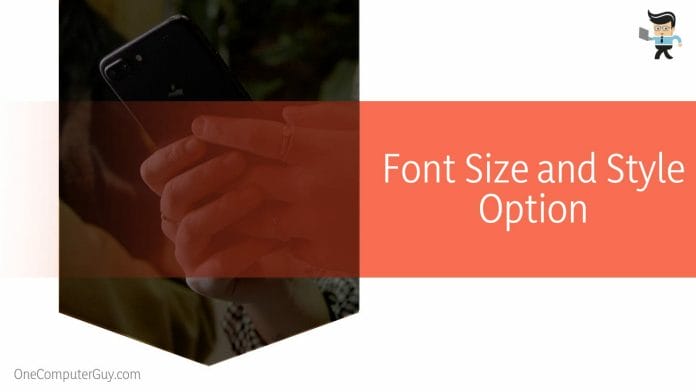 Font Size and Style Option
