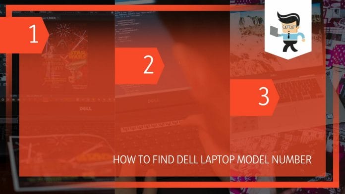 Find Dell Laptop Model Number
